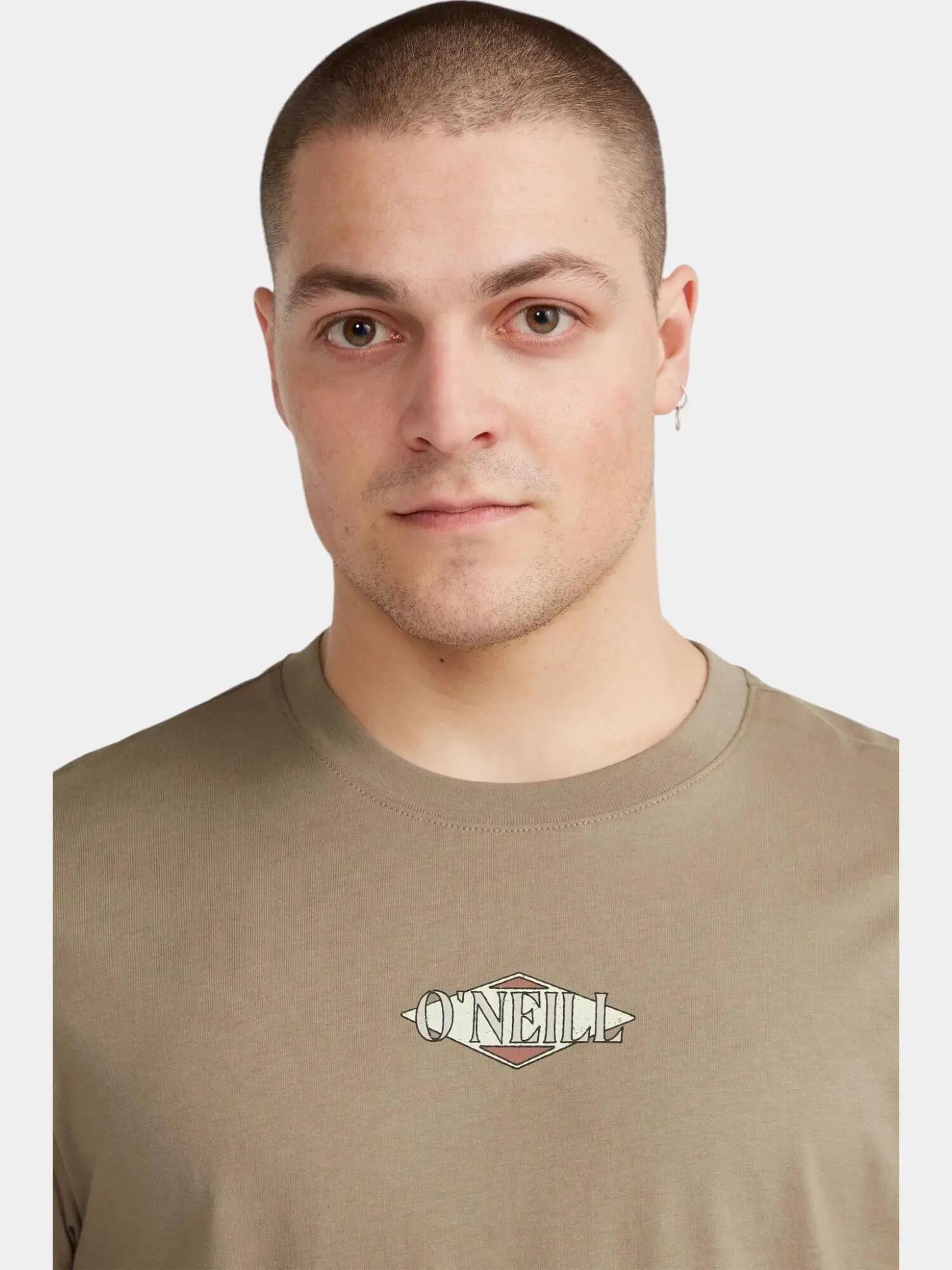 O'NEILL O'neill T-Shirts O'NEILL BACK PRINT T-SHIRT  Hommes Concrete 3/7