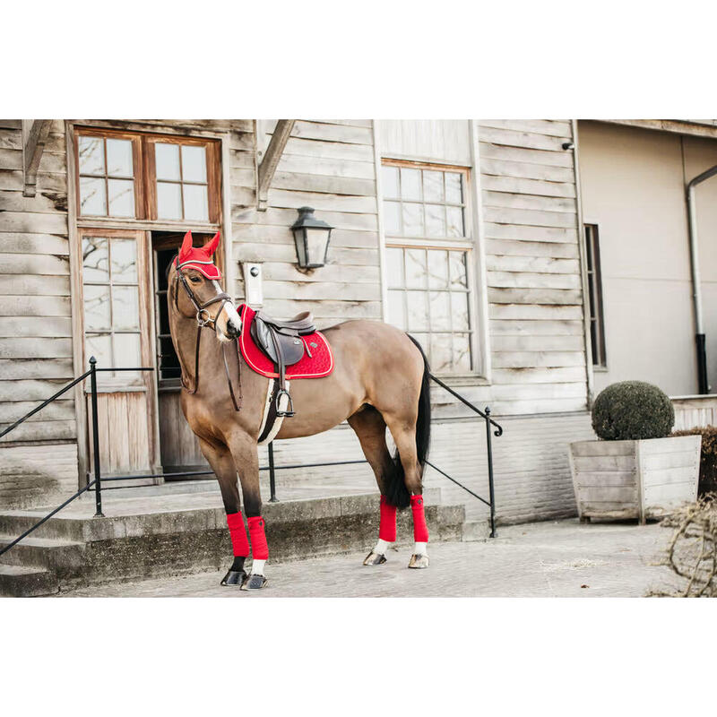Kentucky Oornetje Wellington Velvet Rood -