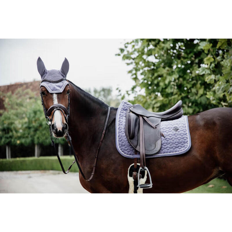 Kentucky Oornetje Wellington Velvet Paarsc -