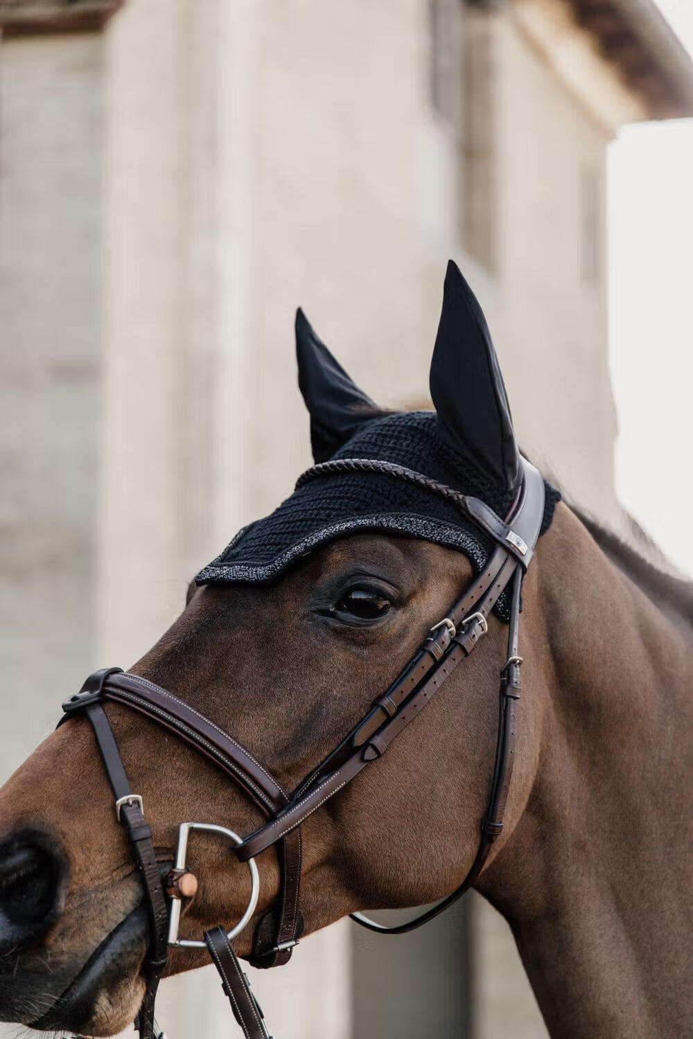 Maschera antimosche Kentucky Horsewear Wellington 2/7