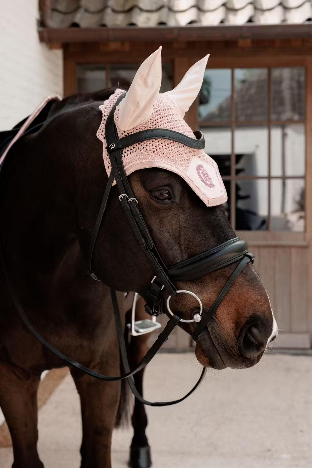 Bonnet anti-mouche wellington glitter sparkling vieille rose 5/7