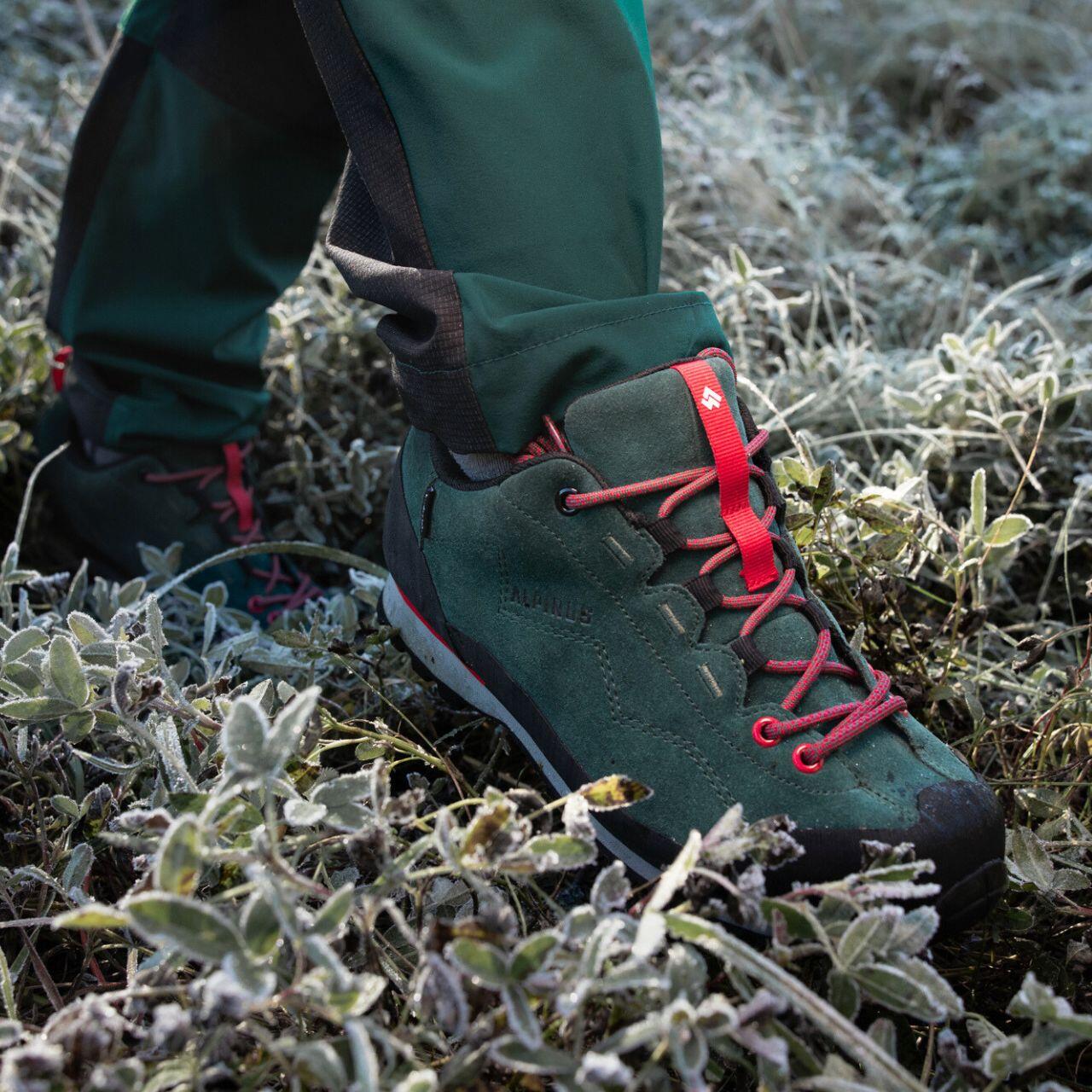 Lage trekkingschoenen voor dames Alpinus Peneda Low HDTX W 6/7