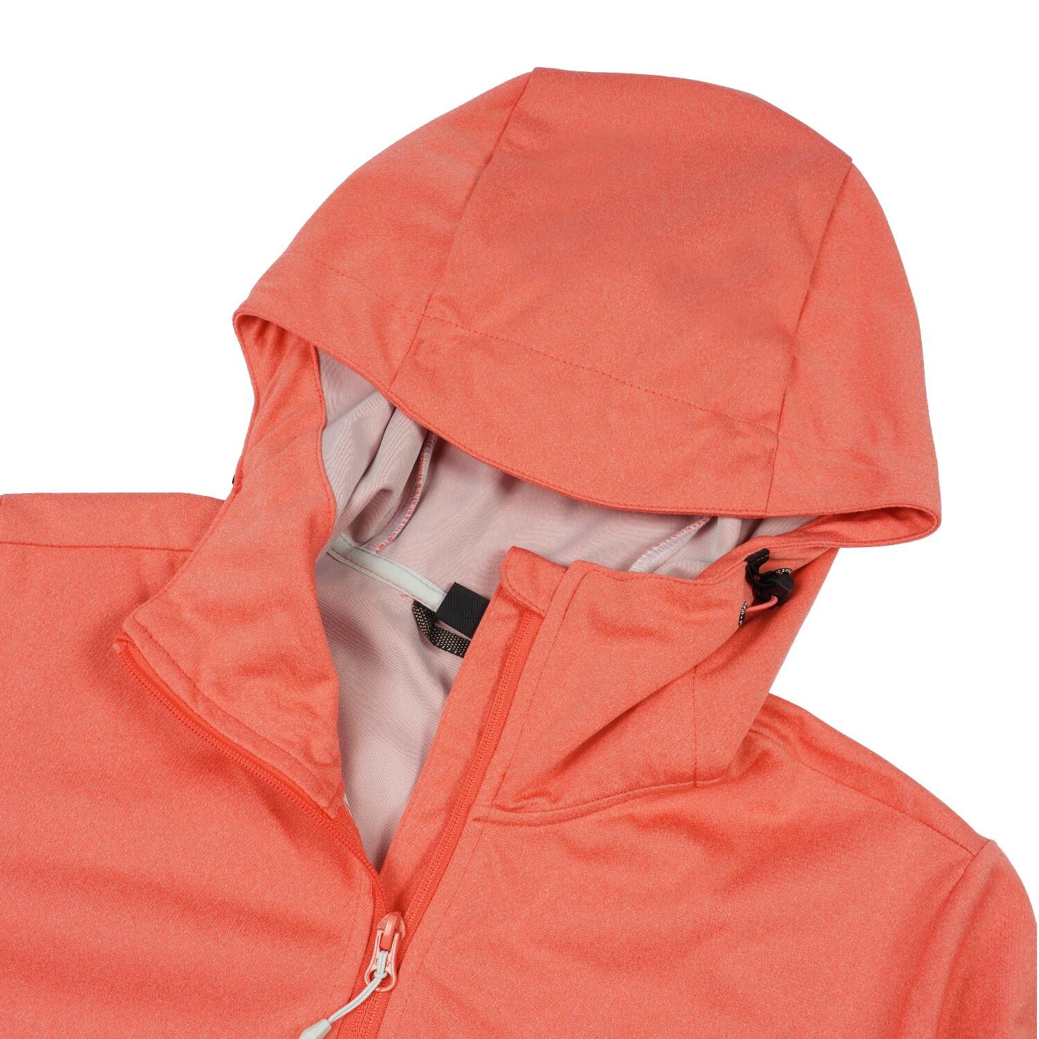Icepeak Bridgewater Softshelljacke Damen mit Kapuze 5/5
