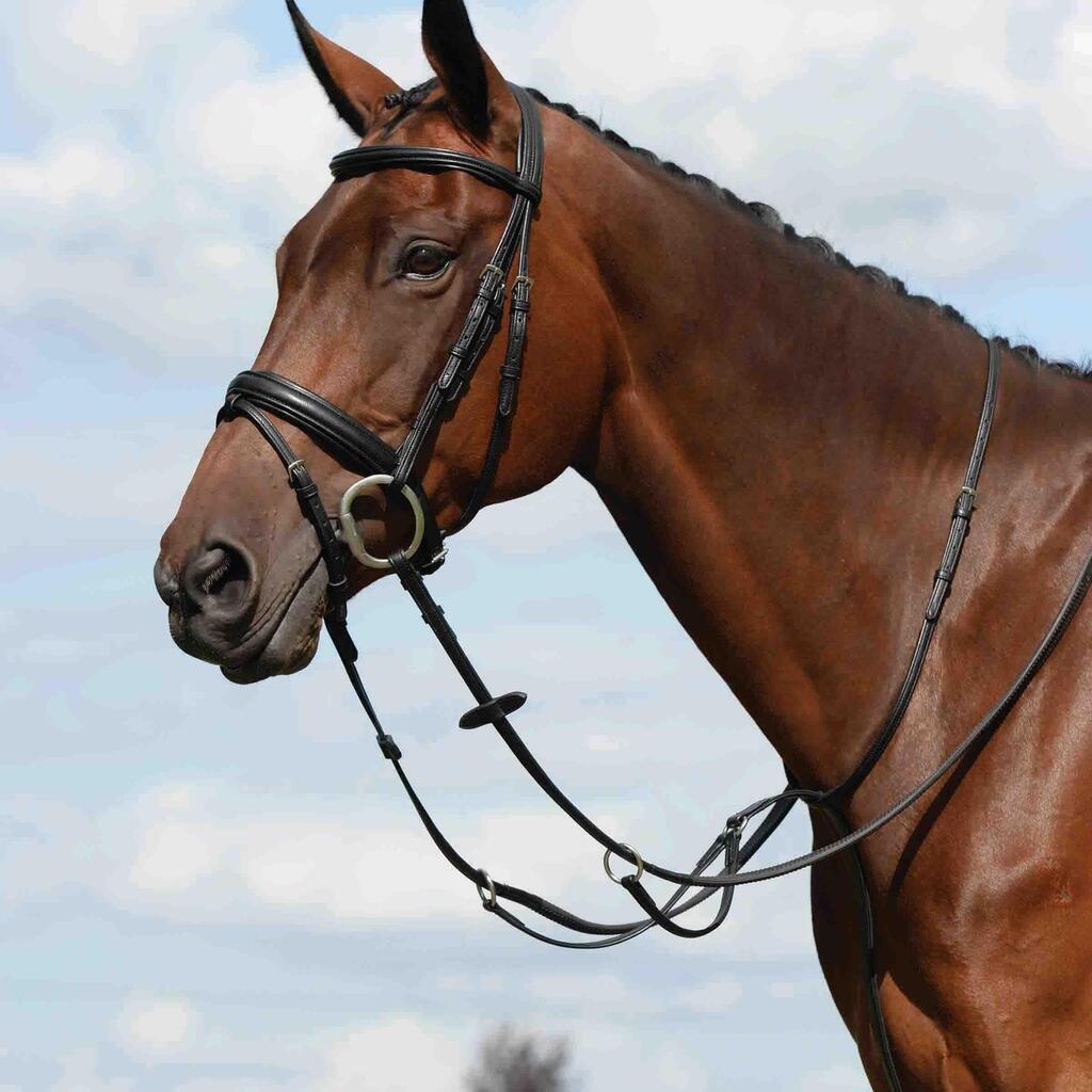 Flat plain horse martingale Weatherbeeta Collegiate Syntovia+