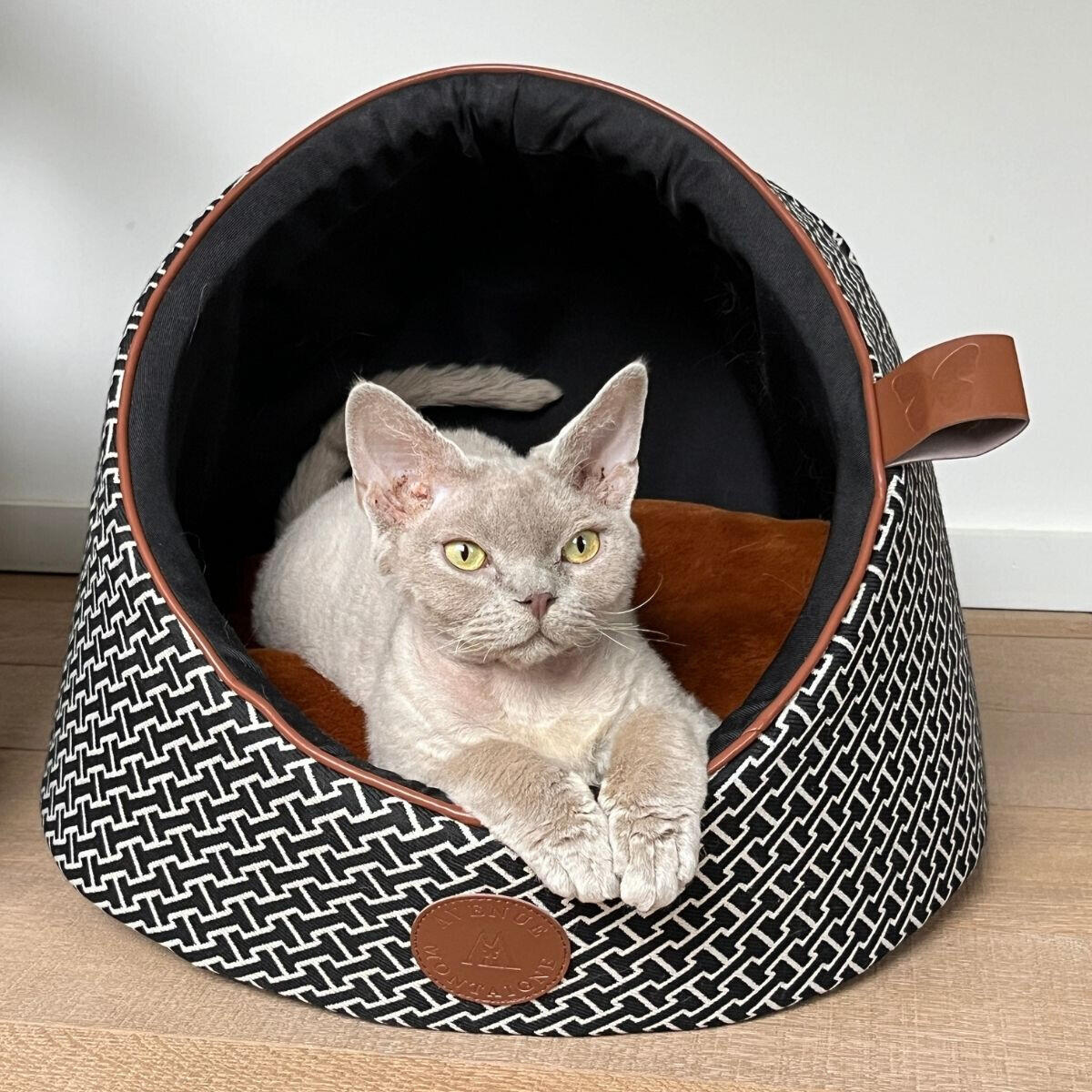 Panier pour chien et chat Martin Sellier (x2) 4/4