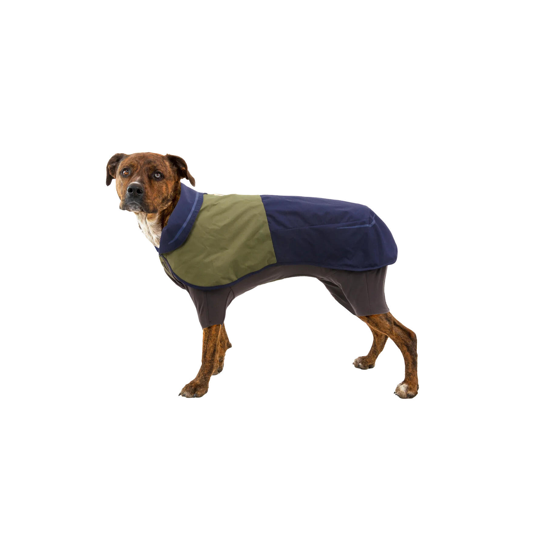 Regenmantel für Hunde Ruffwear Sun Shower 3/3