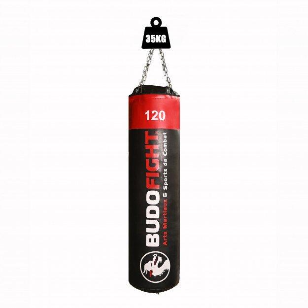 BUDO-FIGHT picture