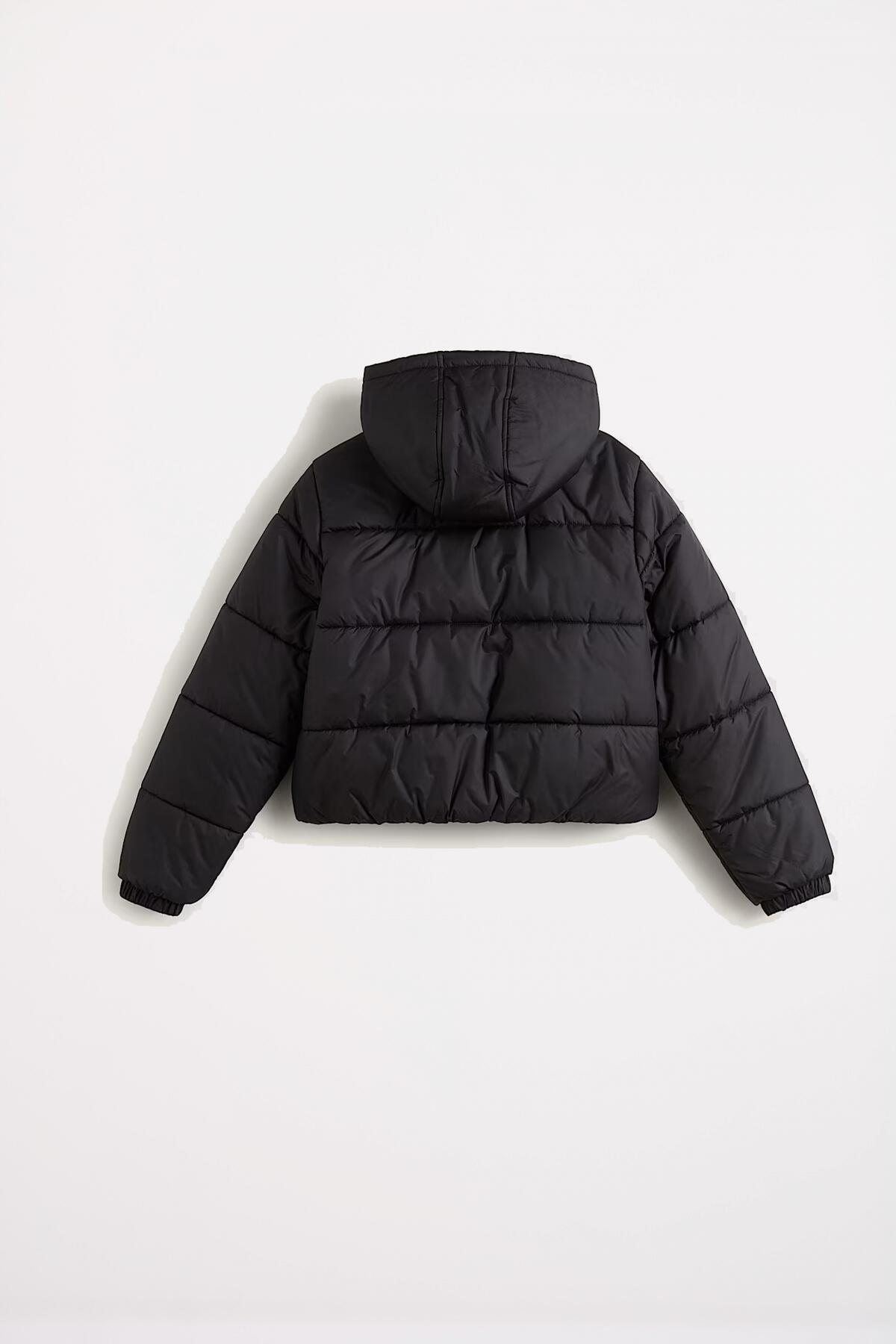 Chaqueta Mujer Vans Hillgate Cropped Puffe 4/4