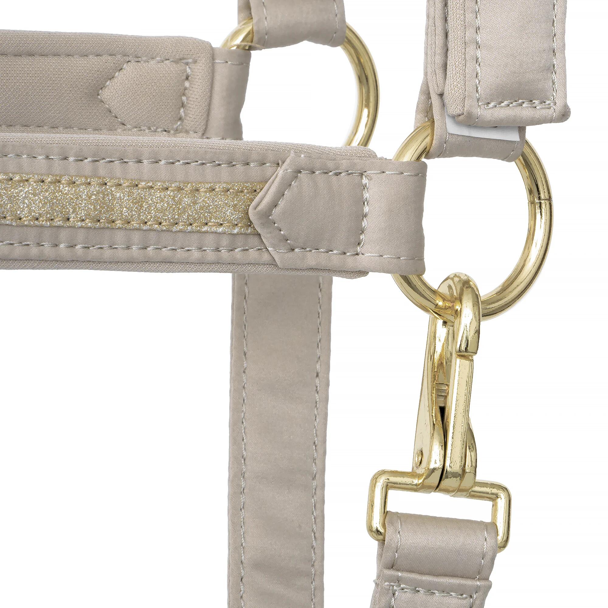 Paardenhalster van EQUESTRIAN QUEEN Milan 25AW 5/7