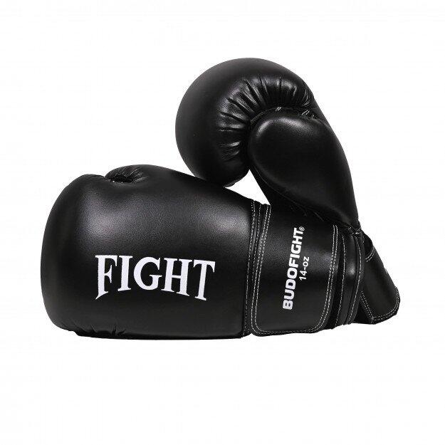 BUDO-FIGHT picture