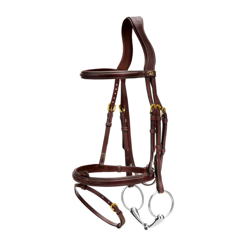 Combined riding bridle and noseband Dy'on
