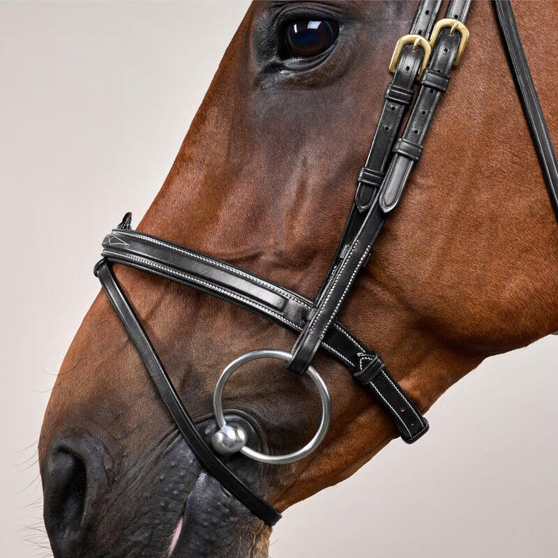 Dy'on Flash Noseband Hoofdstel - D Collection Bruin -