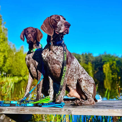 Laisse de promenade poignée de sécurité Polaris – Inlandsis