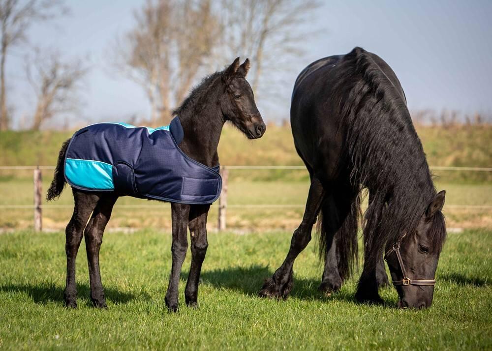 Fohlen-Decke Harry's Horse TwoTone 200 gr 3/5
