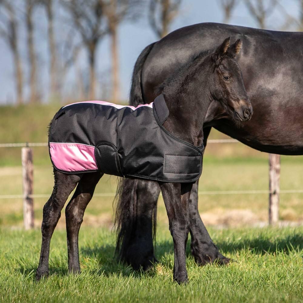 Fohlen-Decke Harry's Horse TwoTone 200 gr 5/5