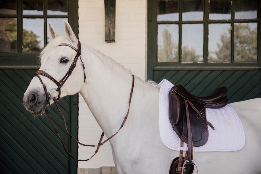 Cso mats Kentucky Fishbone 6/7