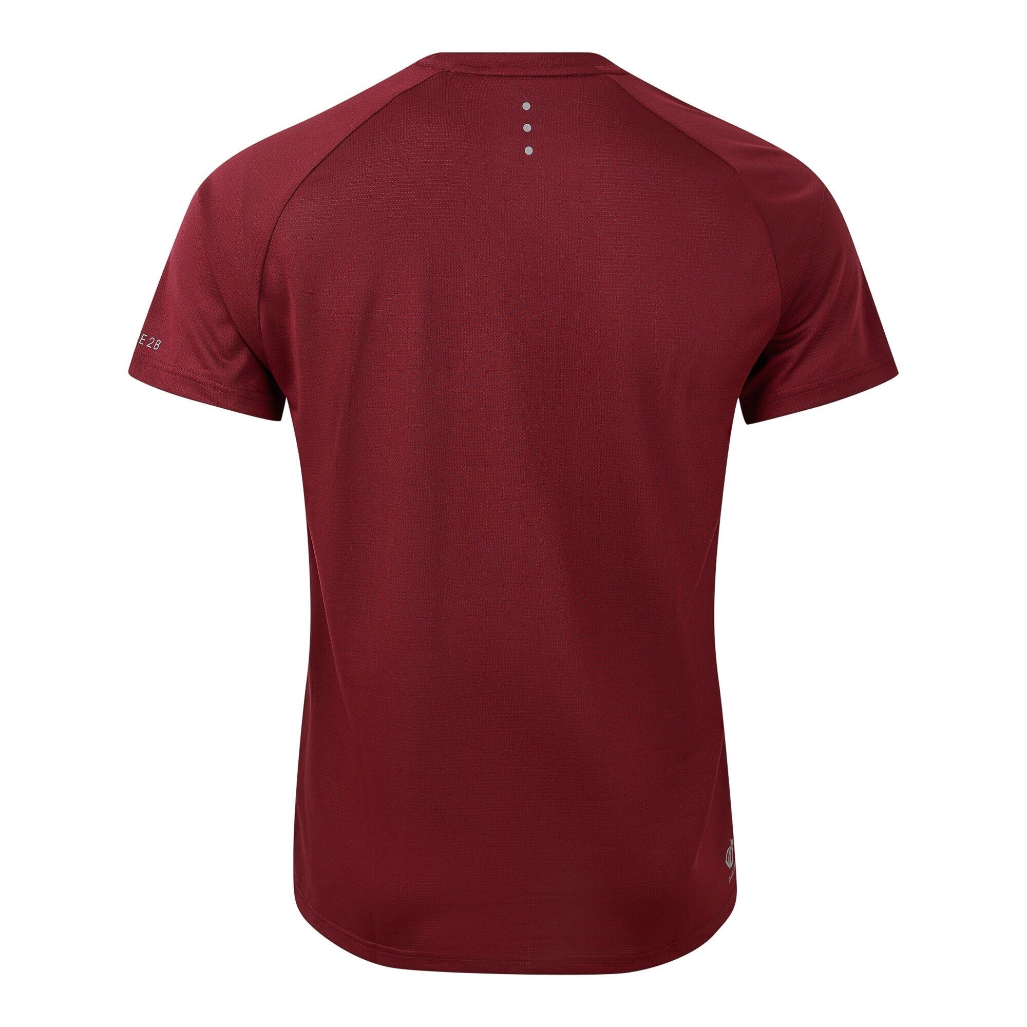 Maglietta Leggera Uomo Dare 2B Accelerate Fico 2/4