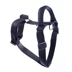 Harnais pour chien Martin Sellier XL