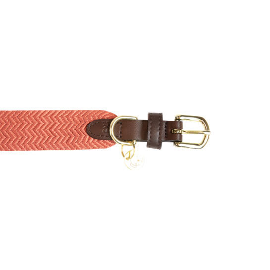 Collare per cani Kentucky Jacquard 2/4