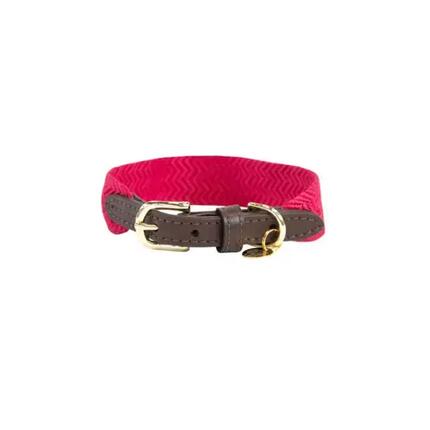 Collier pour chien Kentucky Jacquard