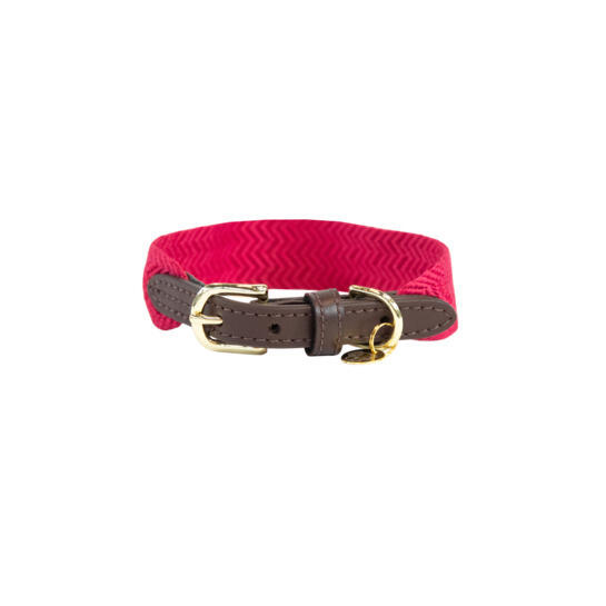Collier pour chien Kentucky Jacquard
