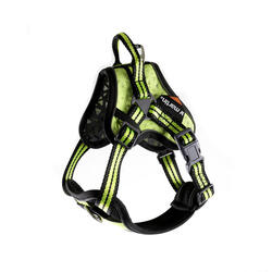 Harnais pour chien Martin Sellier