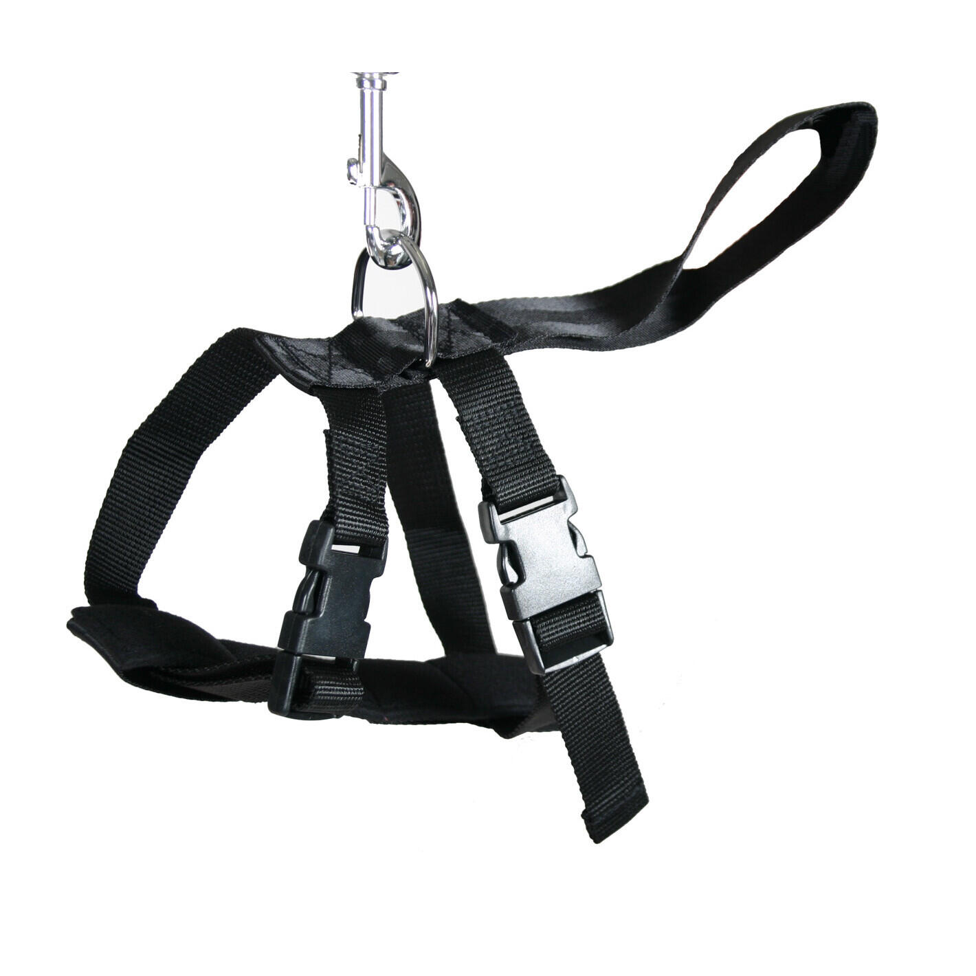 Harnais pour chien Martin Sellier Auto 2/3