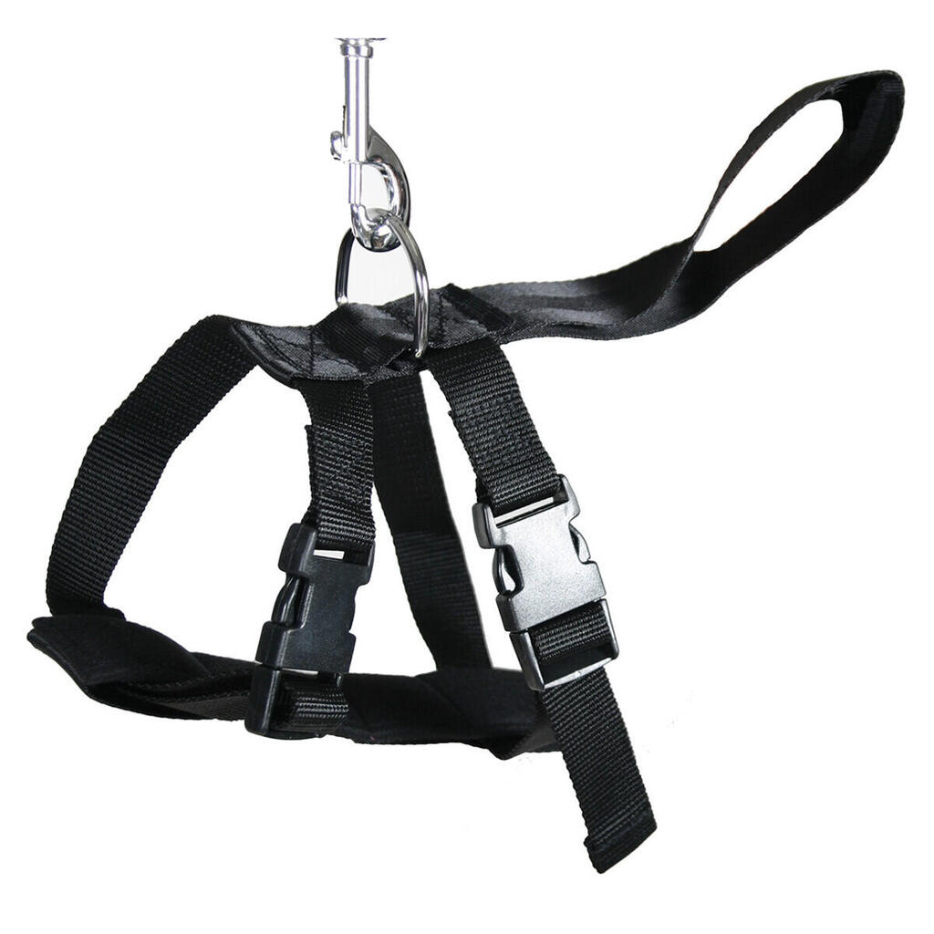 Dog harness Martin Sellier Auto