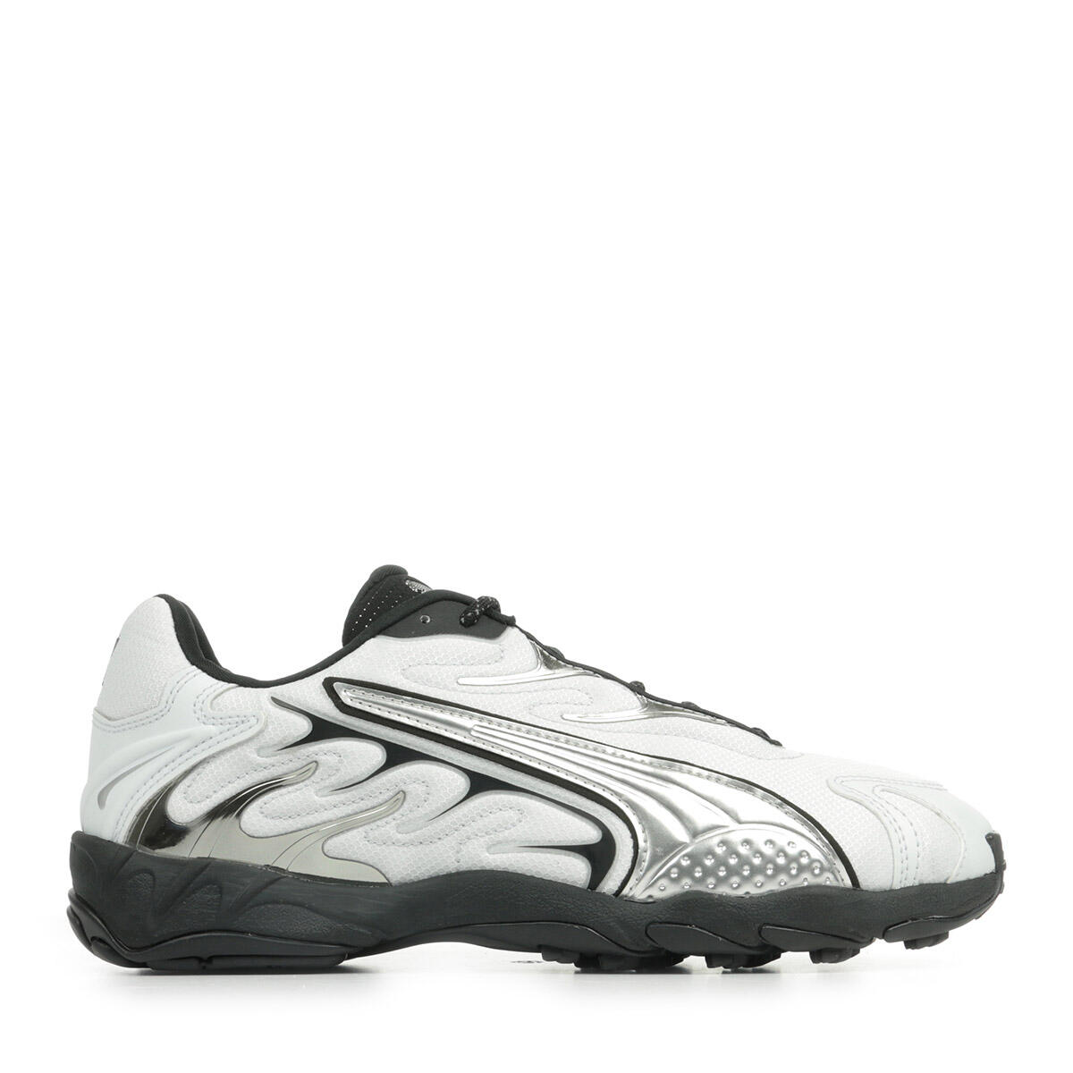 PUMA picture