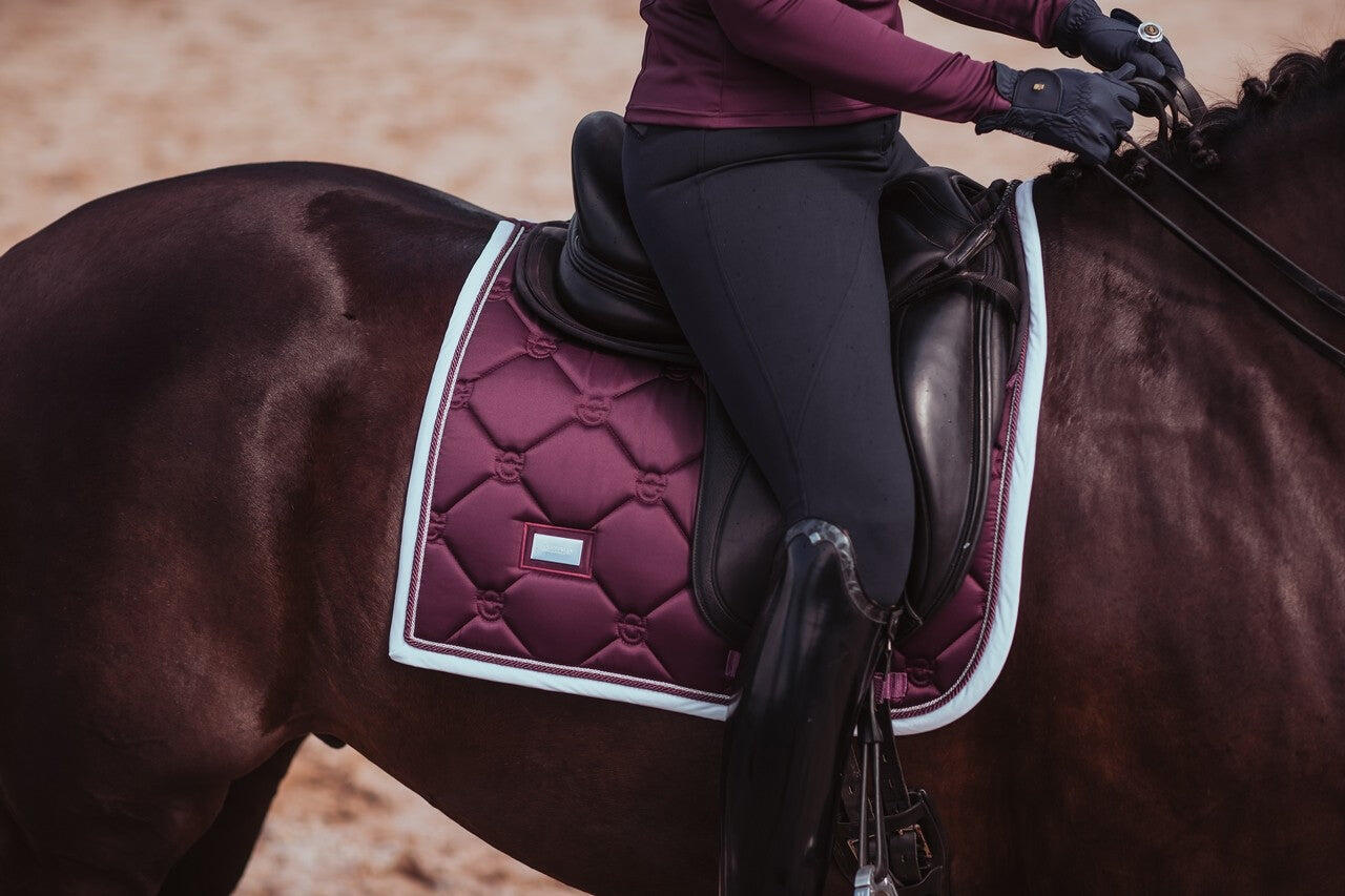 EQUESTRIAN STOCKHOLM picture