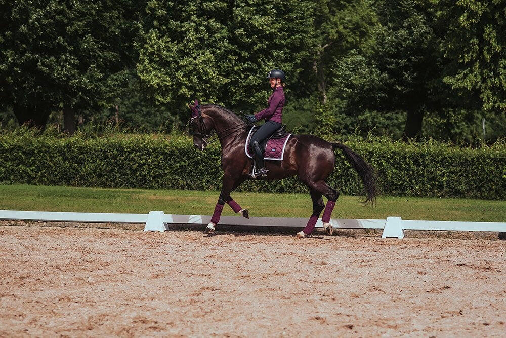 Mata ujeżdżeniowa dla koni Equestrian Stockholm 3/5