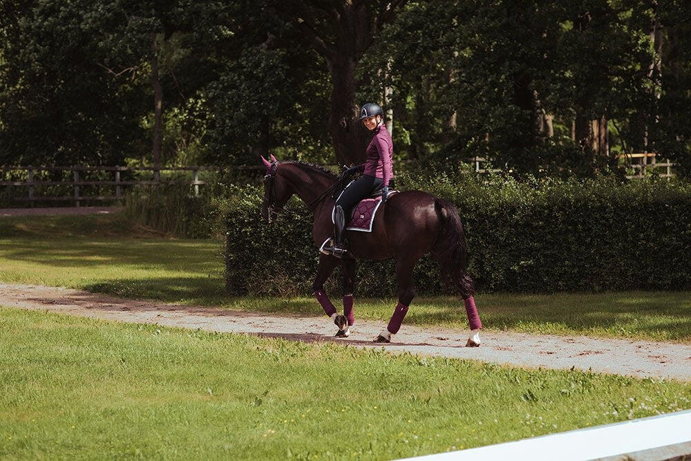 Mata ujeżdżeniowa dla koni Equestrian Stockholm 4/5