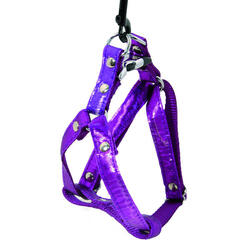 Harnais pour chien Martin Sellier XS