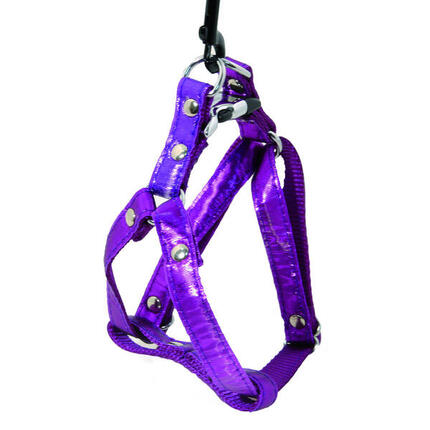 Hundegeschirr Martin Sellier XS