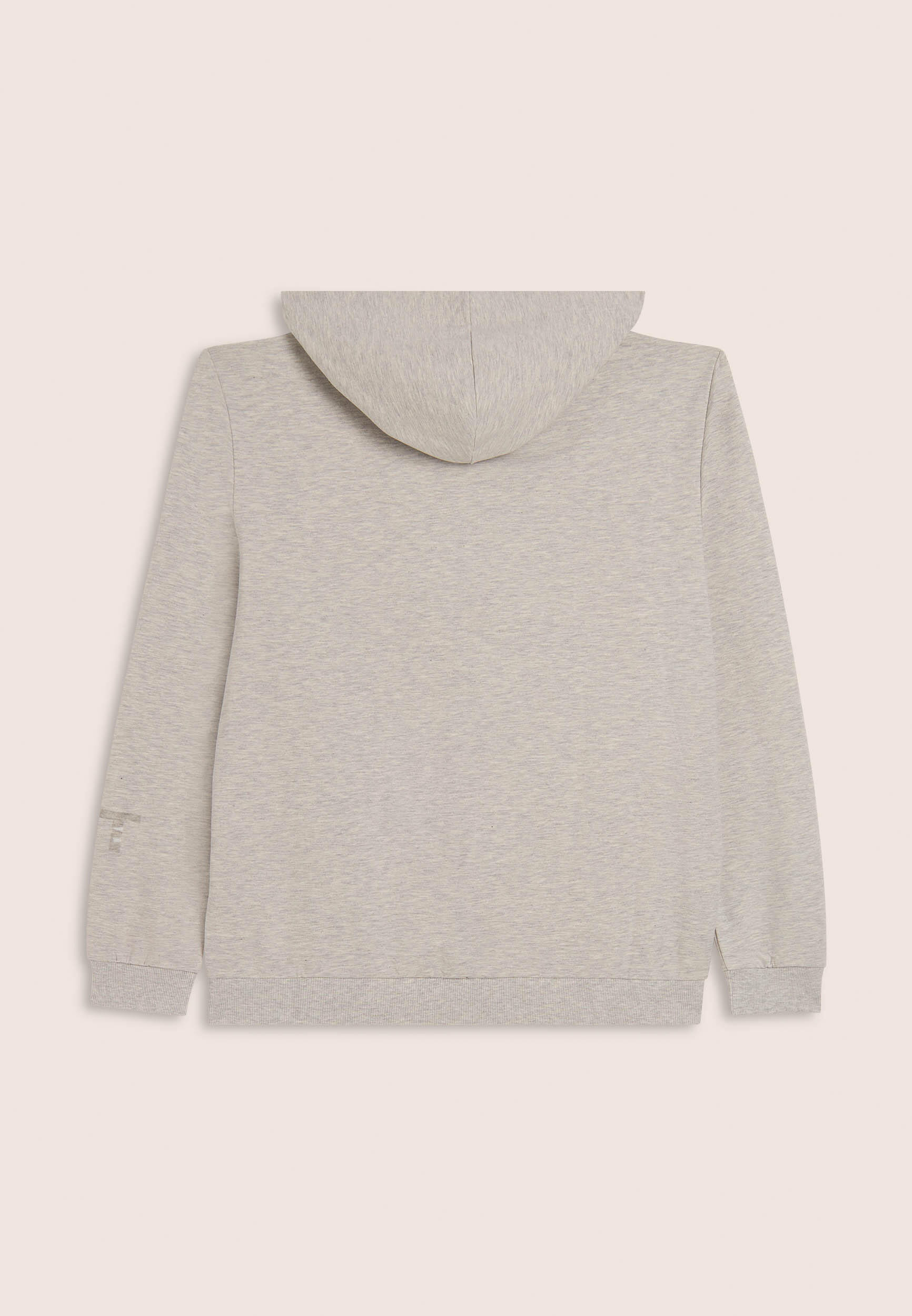 Felpa mélange zip con cappuccio e stampa lucida 2/3