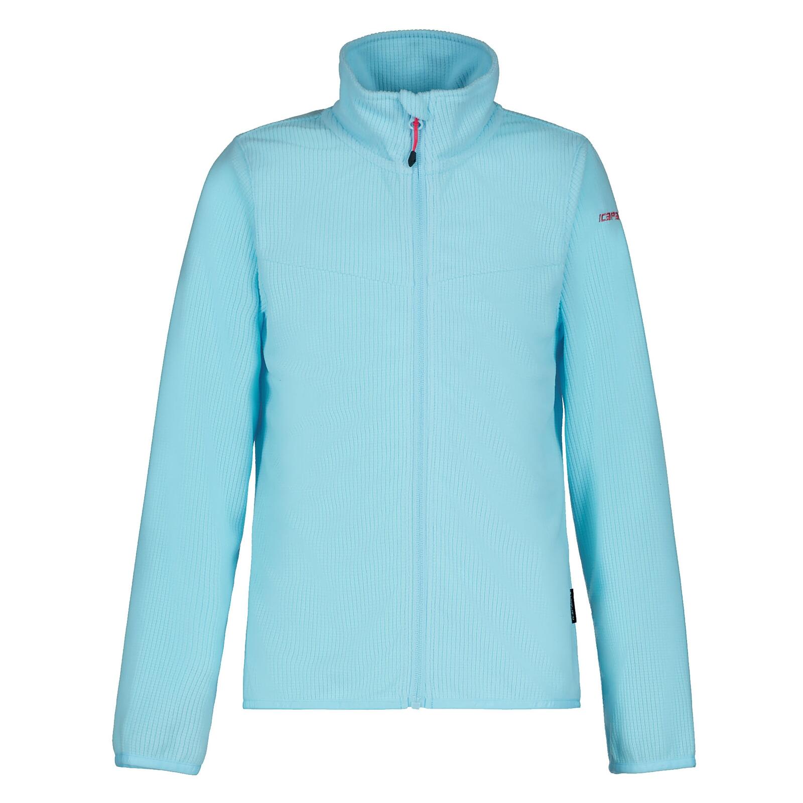 ICEPEAK picture