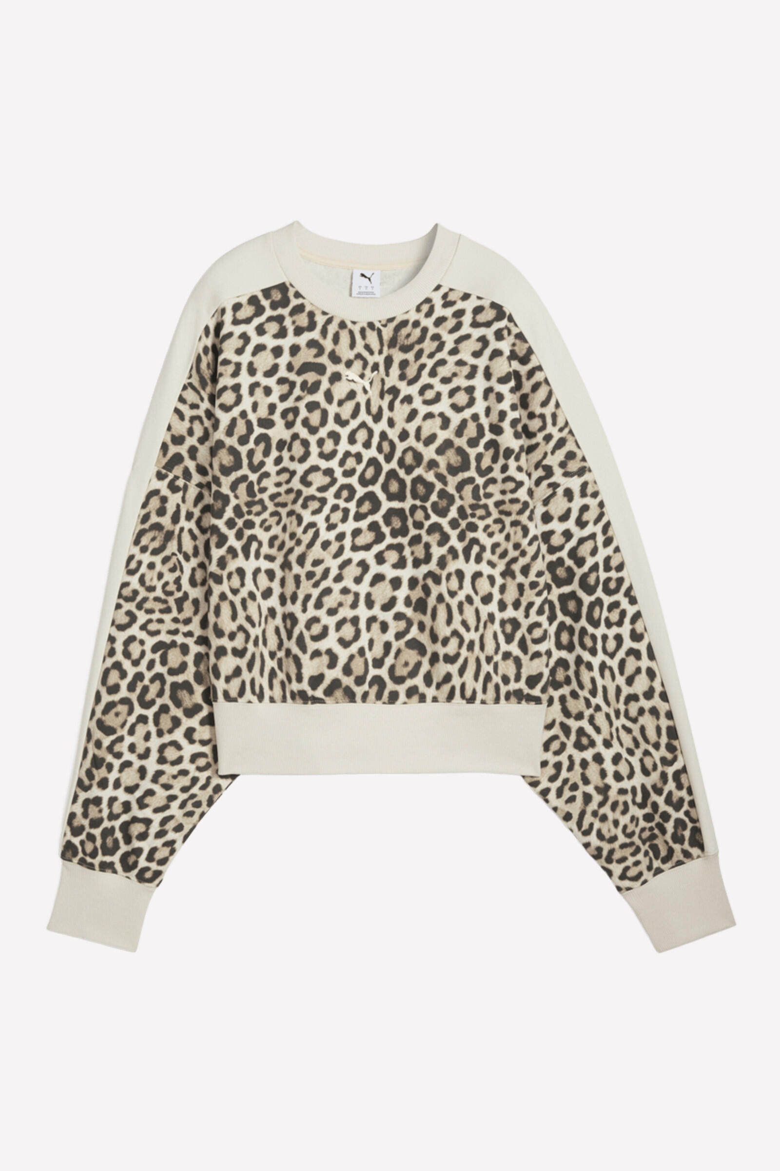 PUMA picture