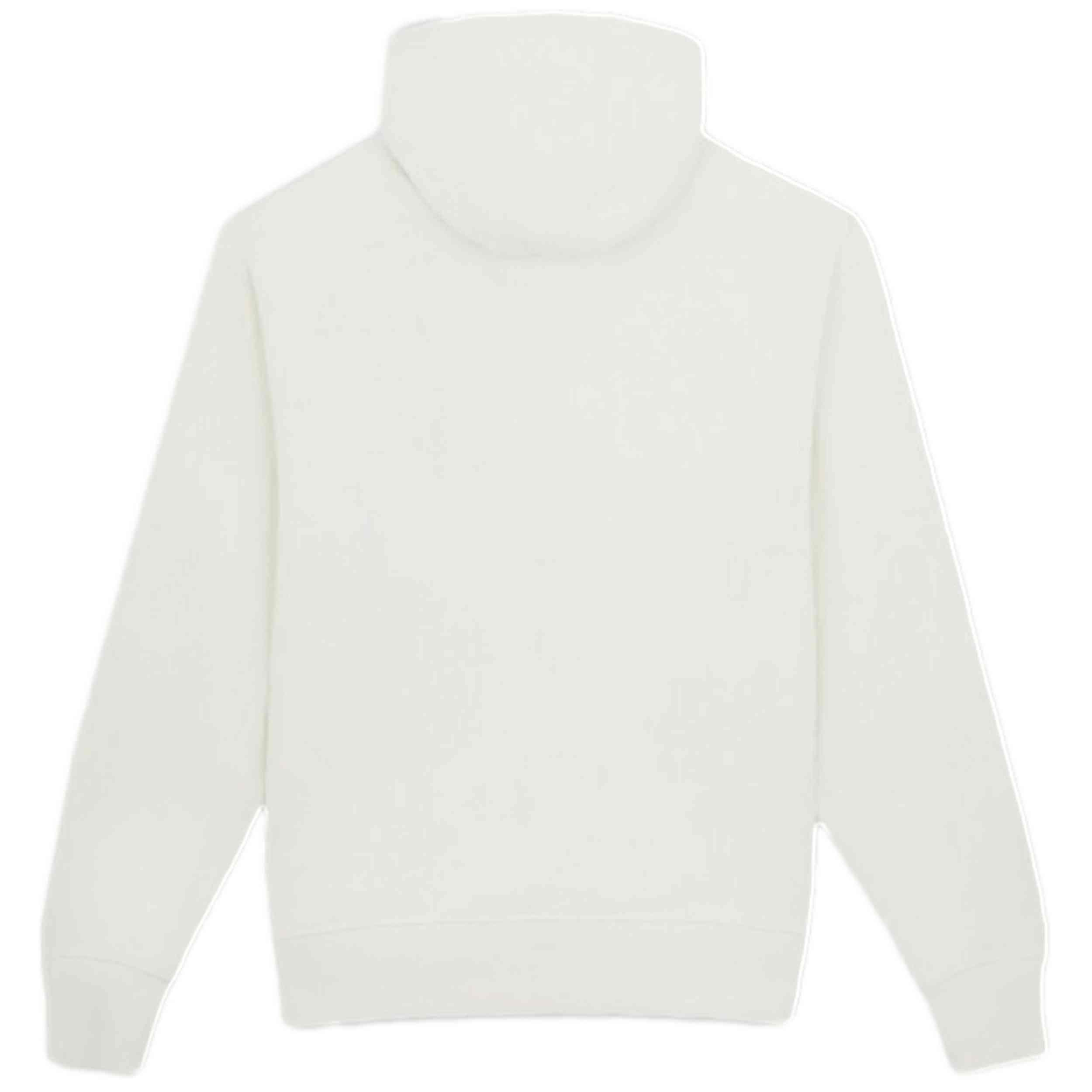 Sweat à capuche Dickies modèle DK0A4YLYECR1 pour homme 5/5
