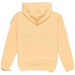 Sweat à capuche Roxy modèle ERGFT04007-NEQ0 pour filles