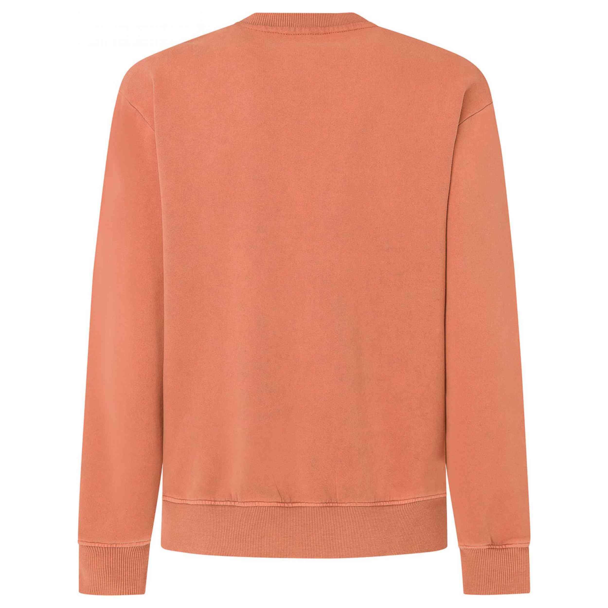 Felpa Pepe jeans modello PM582738-214 per uomini 2/2