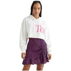 Sweat à capuche Tommy jeans modèle DW0DW13577YBL pour femmes