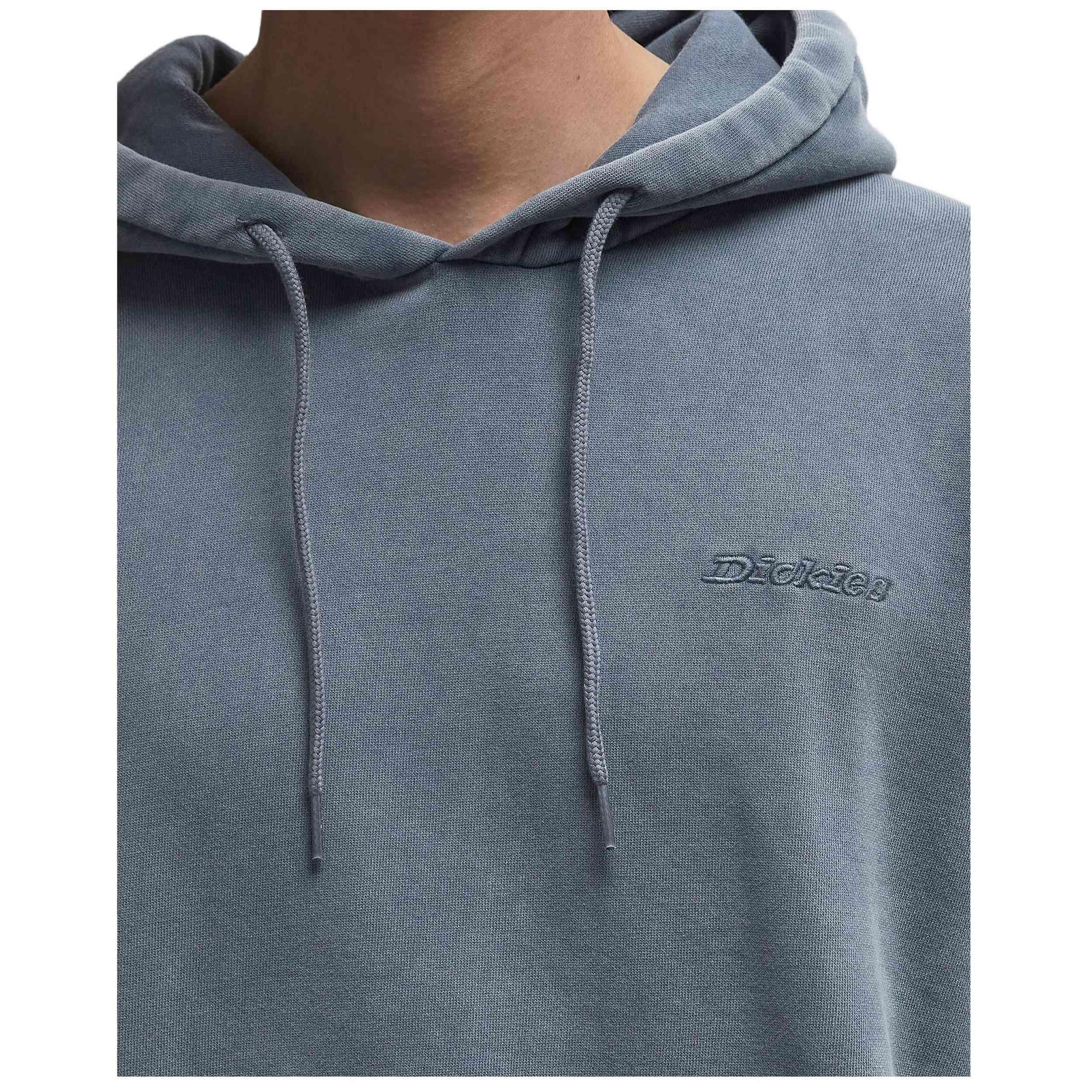 Maillot et sweat-shirt pour homme Dickies Plentywood Gris 3/3