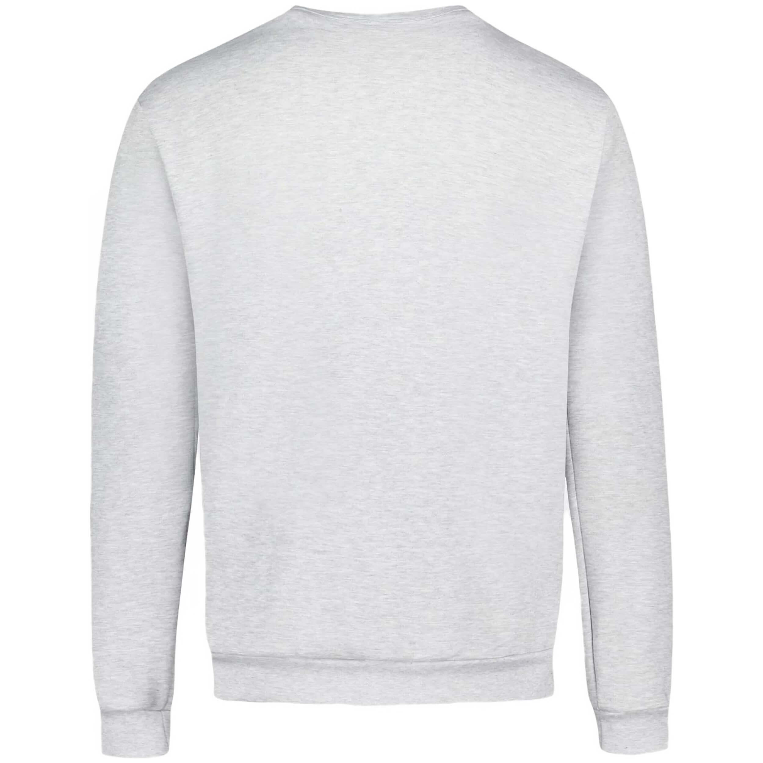Sudadera Gris Hombre Le Coq Sportif Heritage 3/5
