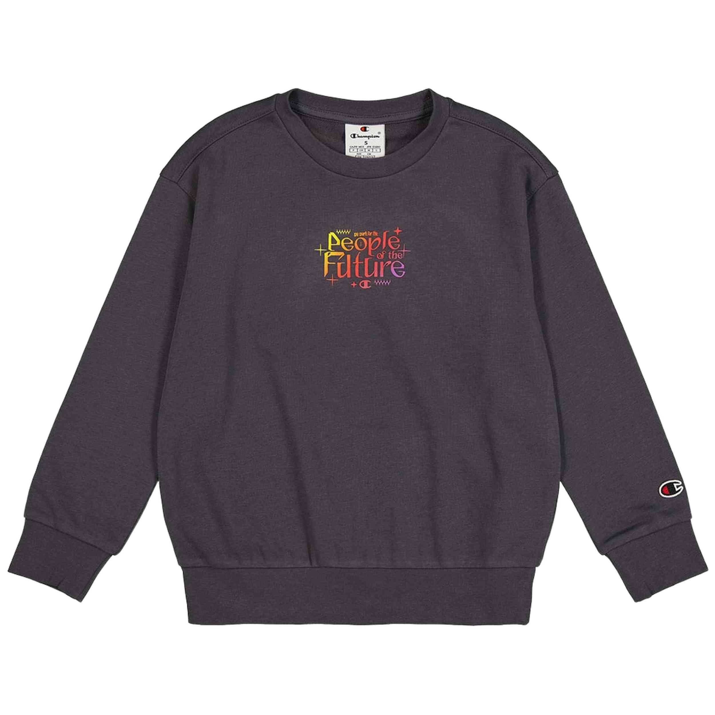 Sudadera Champion modelo 307108-VS517 para niños 1/3