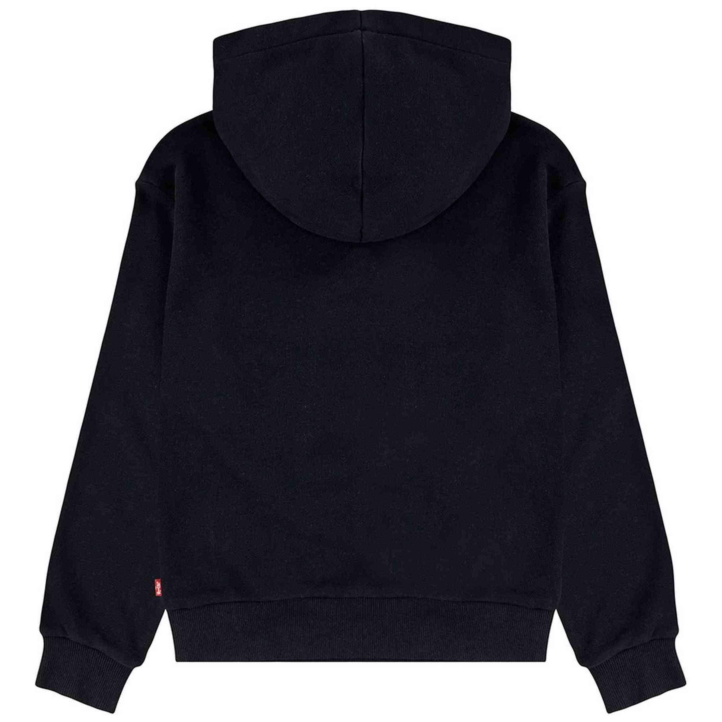 Sudadera con capucha Levi's modelo 3EN102-W1T para niños 2/4