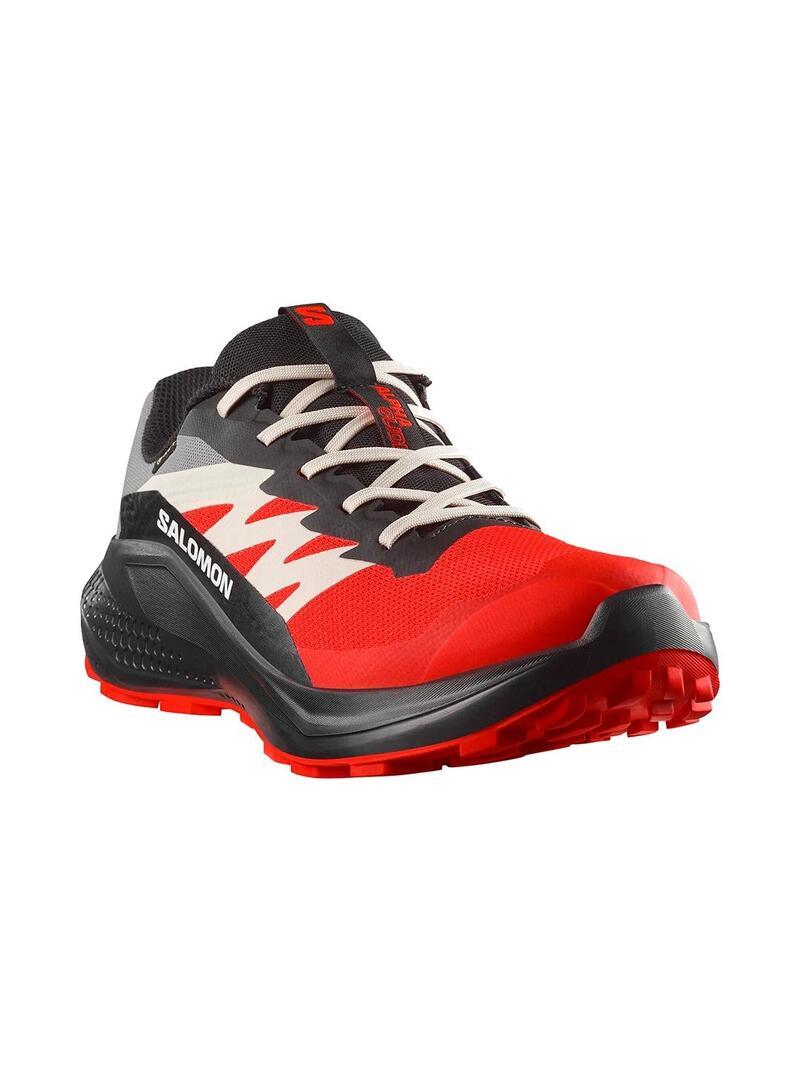 Running y trail para Hombre Salomon Alphaglide gore-tex Rojo 5/6