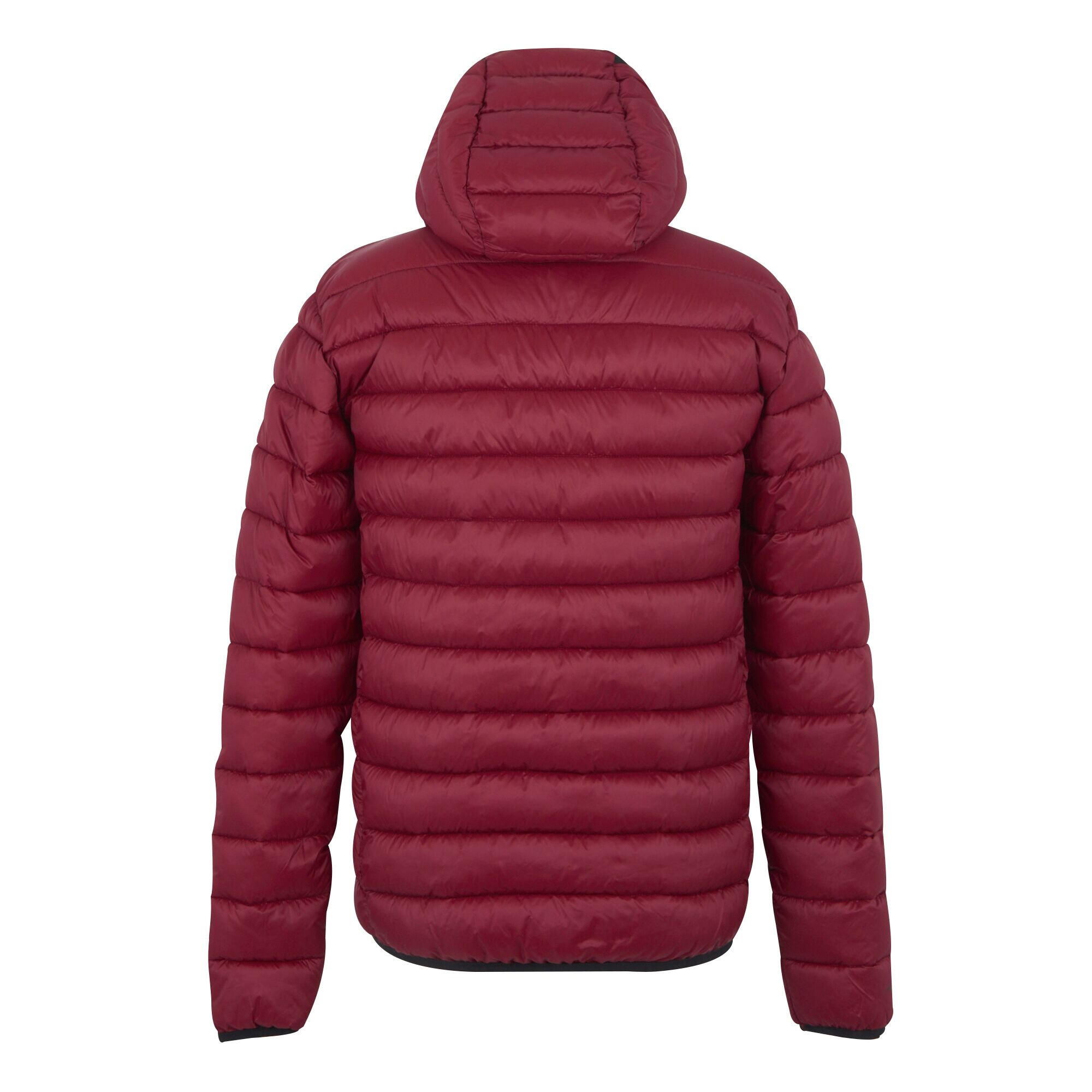 Veste Matelassée MARIZION Homme (Pourpre Foncé) 2/5