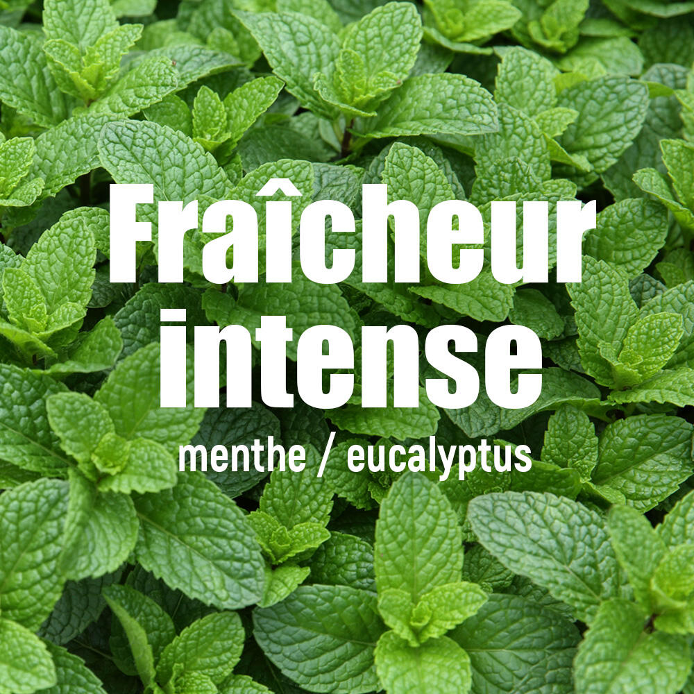 Gel énergétique efforts intenses Red Tonic - Menthe Eucalyptus - 10x34g 5/7