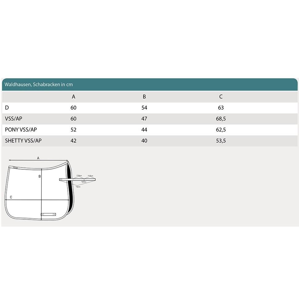 Tapis de CSO Waldhausen Ancona 2/2