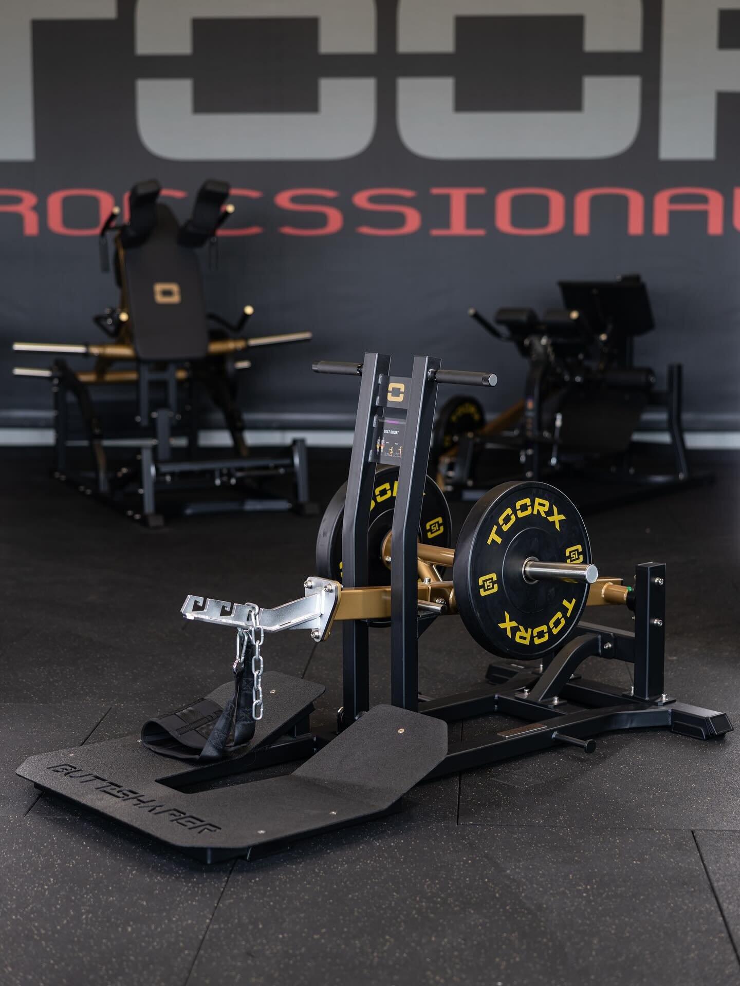 Belt Squat FWX 10200 - Butt Shaper Line 2/7